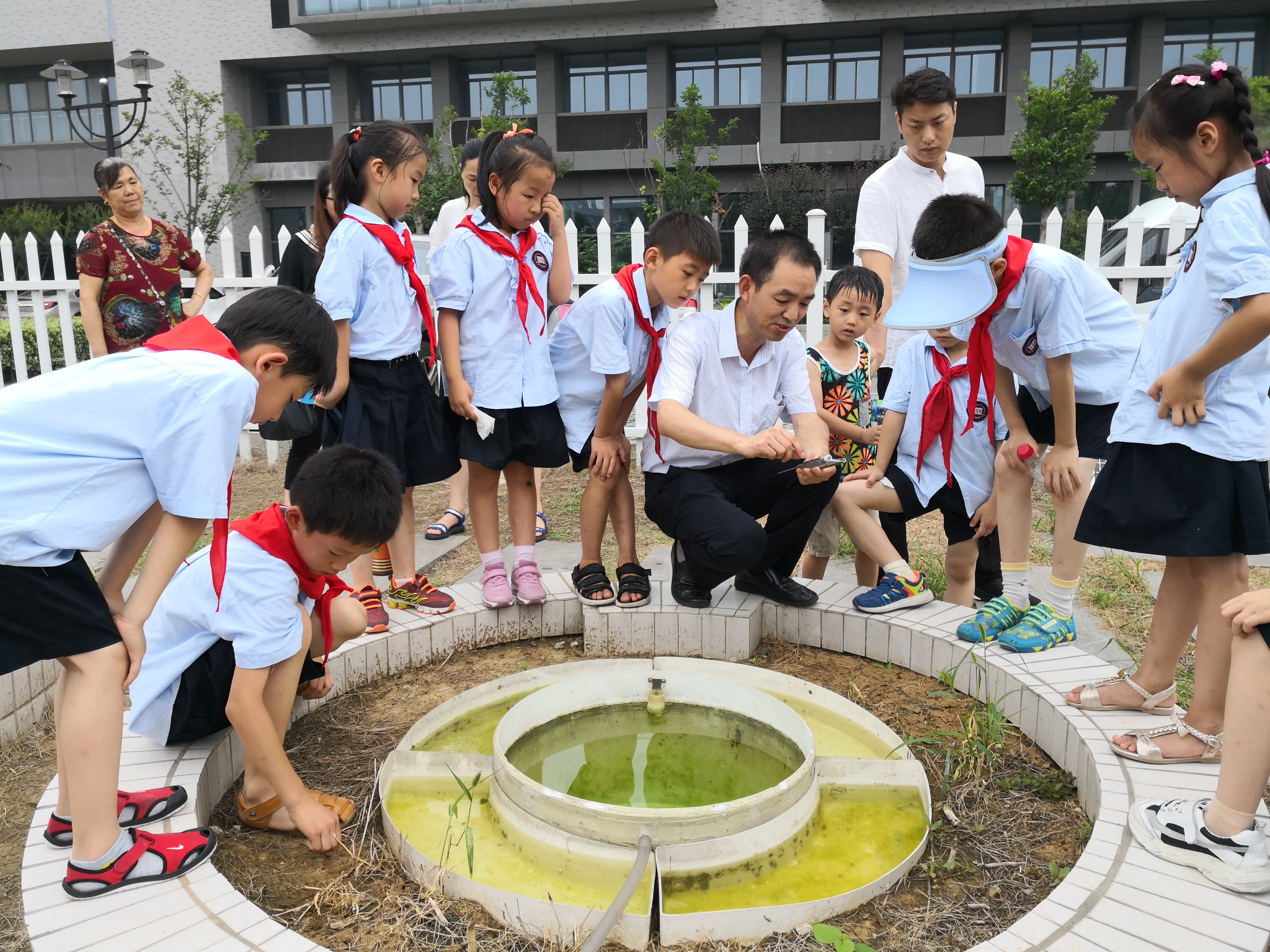 诚信小学1.jpg